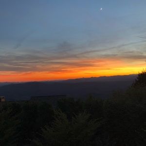 Meet your Posher, Alisa